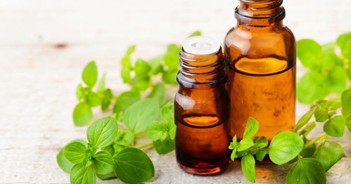 Understanding the Potential Side Effects of Oregano Oil Facty Health