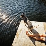 Love Your Dog? Stop Doing These Things Today