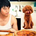 Everyday Items Around the Home That Can Kill Your Pet