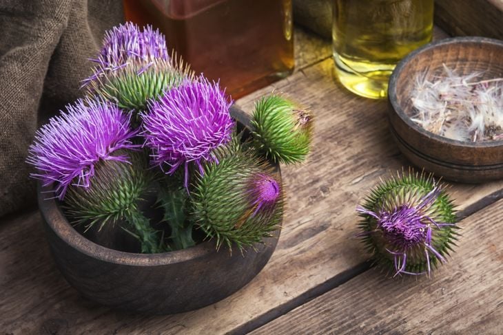 Could Milk Thistle Cause These 10 Unwanted Symptoms?