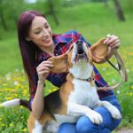 Treating Your Dog for Ear Infections