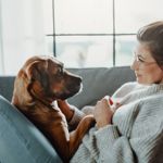 Pyometra in Dogs: Symptoms and Treatment