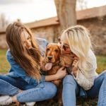 Why Do Dogs Get Yeast Infections in Their Ears?