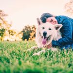 You Need to Know About Tracheal Collapse in Dogs