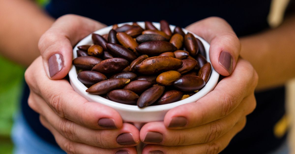 Are Baru Nuts a New Superfood? Facty Health