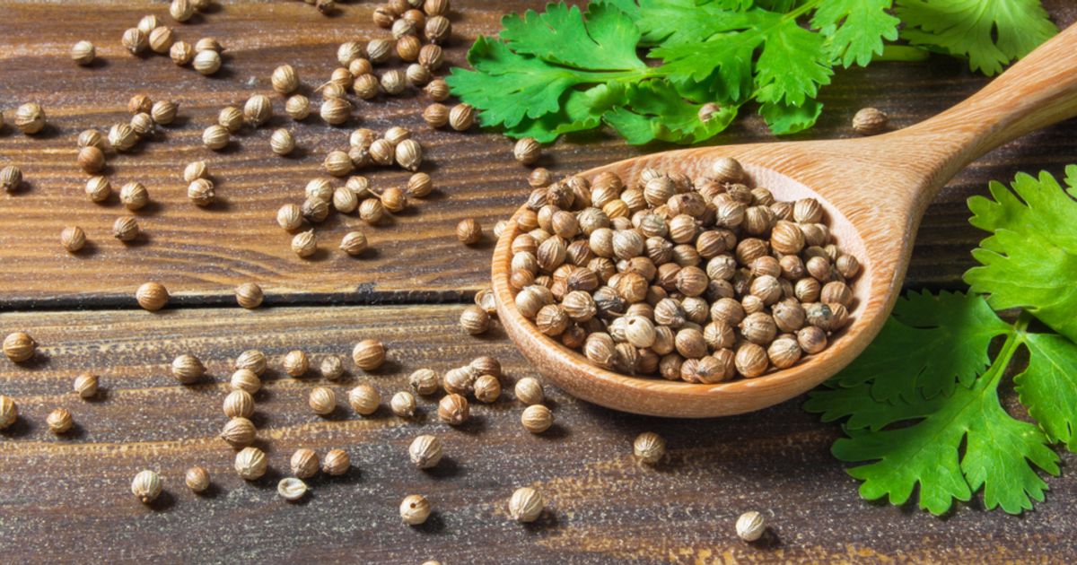 Surprising Benefits of Coriander Facty Health