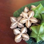 8 Proven Benefits of Sacha Inchi
