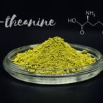 Benefits of L-Theanine and Green Tea