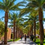 American Universities That Are Worth Your Money and Time