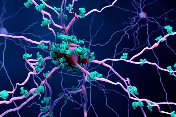 All About Amyloid Proteins