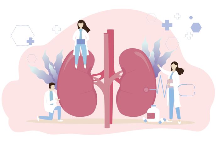 Understanding Kidney Disease: Causes and Prevention