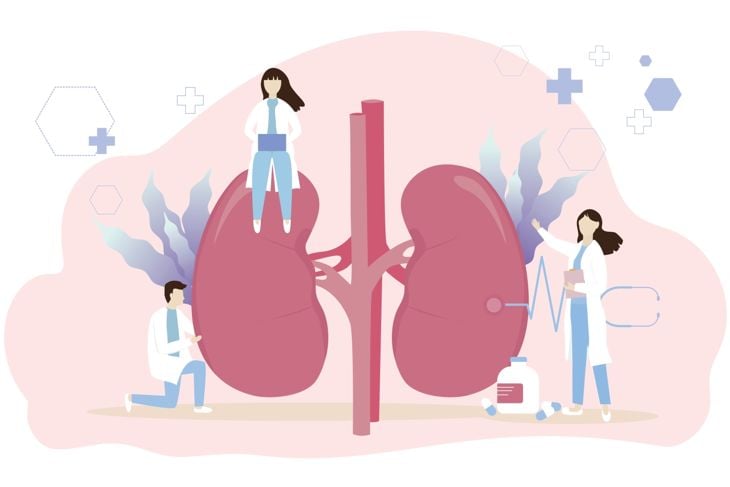 Understanding Kidney Disease: Causes and Prevention