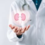 What Is Nephrology?