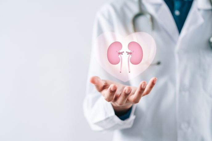 What Is Nephrology?