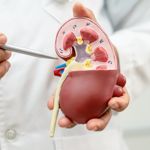 What Causes Kidney Damage?