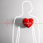 CPR Steps and When to Use This Life-Saving Technique