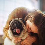 25 Low-Maintenance Dog Breeds