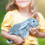 A Newbie's Guide to the Basics of Rabbit Care