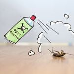 Got a Roach Problem? Here's What to Do