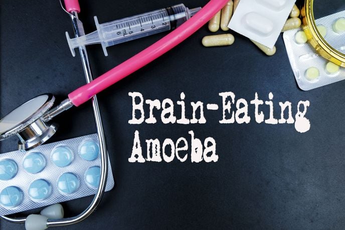Recognizing Symptoms of the Brain-Eating Amoeba