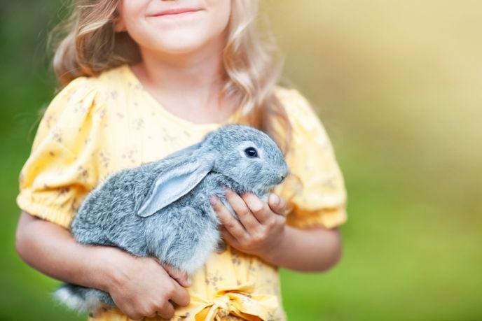 A Newbie's Guide to the Basics of Rabbit Care