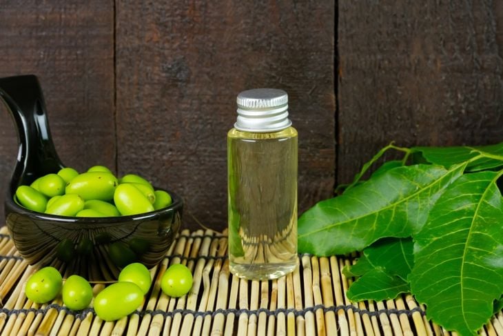 A small bottle of clear neem oil sits next to fresh neem leaves and a bowl of green neem fruit, representing neem’s role in modern natural remedies and as a popular garden treatment. 