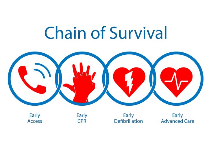 A graphic illustrating the "Chain of Survival" with four blue circles showing icons for calling emergency services, performing CPR, using a defibrillator, and providing advanced care—emphasizing the key steps in responding to cardiac emergencies. 