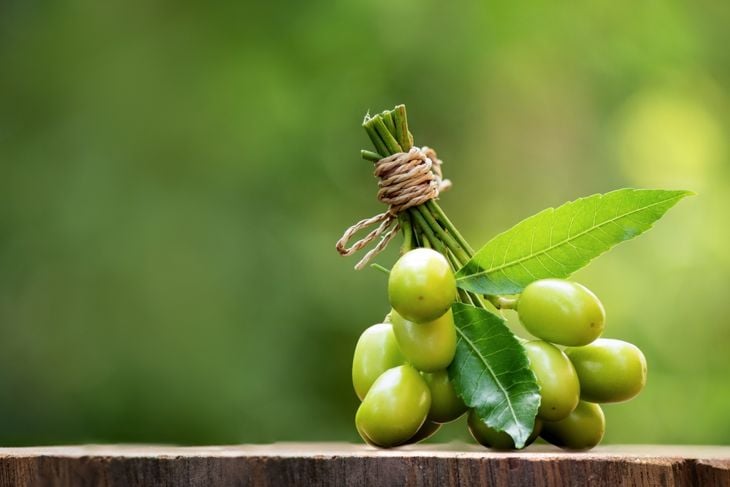 A small, bundled cluster of fresh green neem fruits with attached leaves rests on a wooden surface, symbolizing the expanding research into neem’s antibacterial and potential anticancer benefits. 