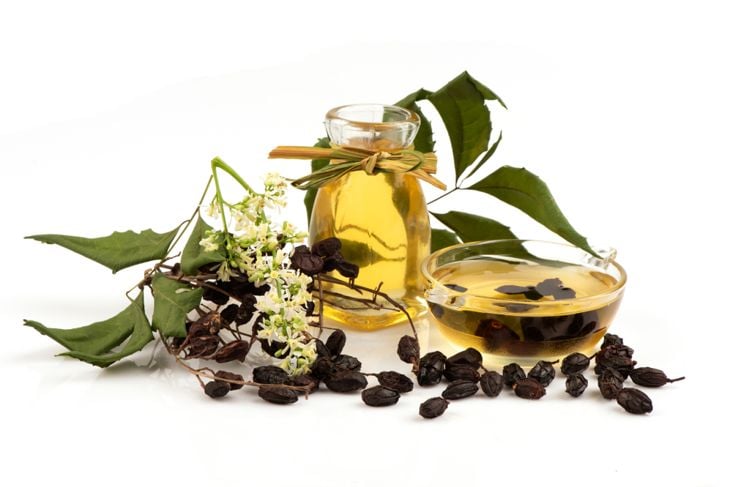 A glass jar and bowl filled with golden neem oil sit beside dried neem fruit, flowers, and leaves, highlighting the use of neem in topical products, which are generally safer than ingesting the oil but may still cause skin irritation if not diluted. 
