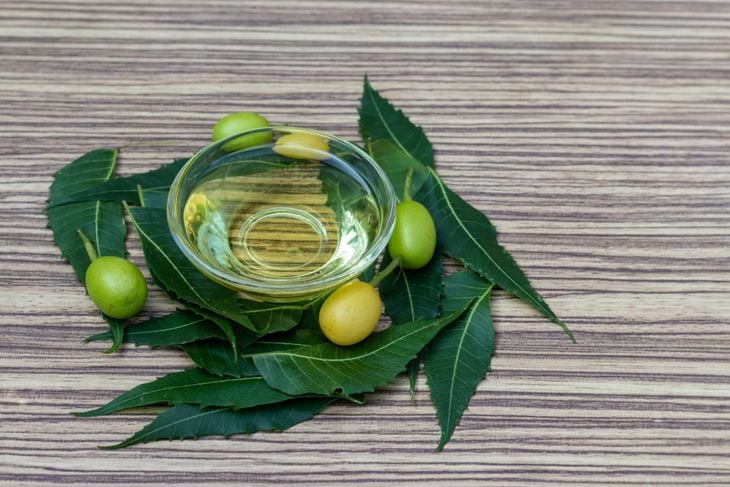 A small glass bowl of light neem oil sits atop fresh neem leaves and green fruit on a wood-patterned surface, emphasizing that certain groups—like children and those with health conditions—should avoid neem products without medical advice. 