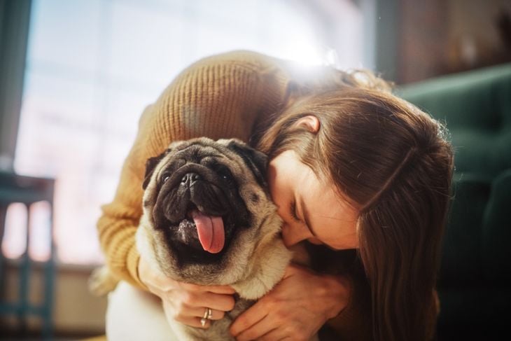 25 Low-Maintenance Dog Breeds