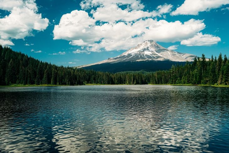 Mount Hood Reflecting in Trillium Lake, Hood National Forest, Oregon