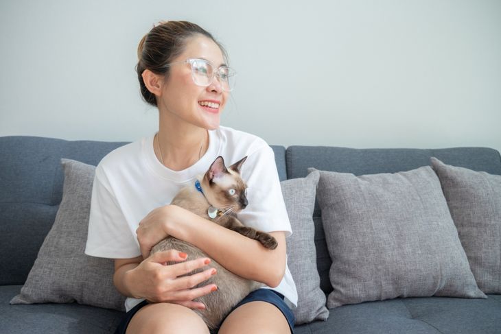 Young Asian woman sitting on sofa while hugging her Siamese cat. Siamese cats are talkative, affectionate pets who fit in well with families able to give them lots of attention.