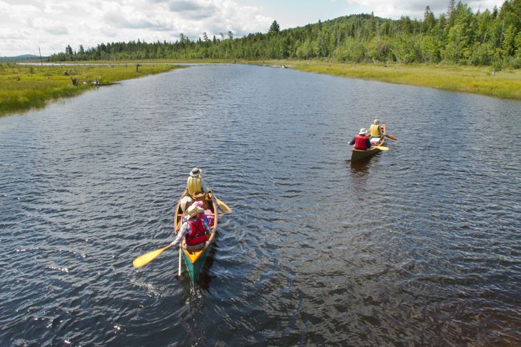 Group of active seniors canoeing along a river in a remote location on the North Maine Woods in Maine