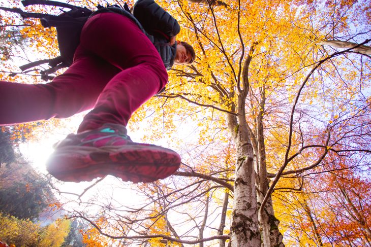 Low-angle view of a person walking outdoors in trail shoes and a backpack, captured mid-step against tall autumn trees with golden leaves. The dynamic perspective and forest setting suggest active, purposeful movement as part of a structured outdoor routine.