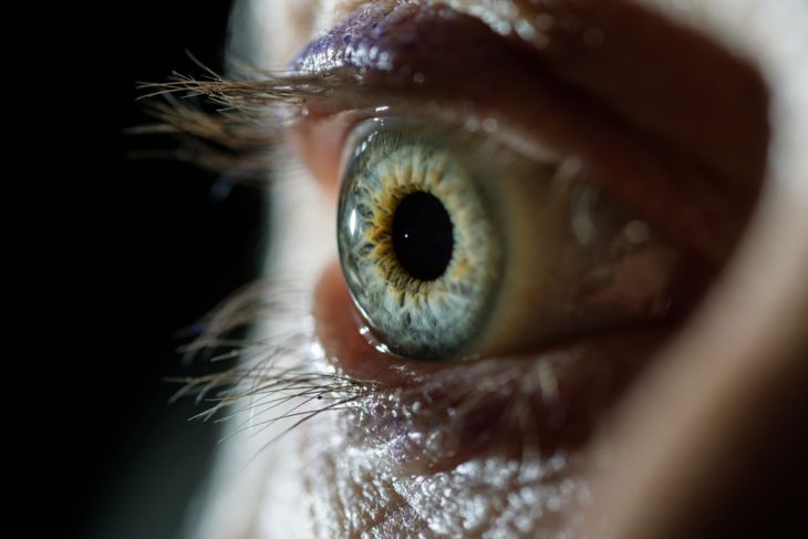 Human eye, macro shoot. Selective focus