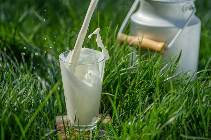 Milk is poured into a clear glass sitting on grass, with splashes frozen mid-air. A metal milk can with a wooden handle is visible in the background, suggesting a farm setting.