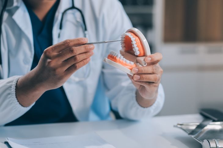 A dentist is using specialized dental equipment to inspect dentures to study the anatomy of the teeth before using the knowledge to treat patients
