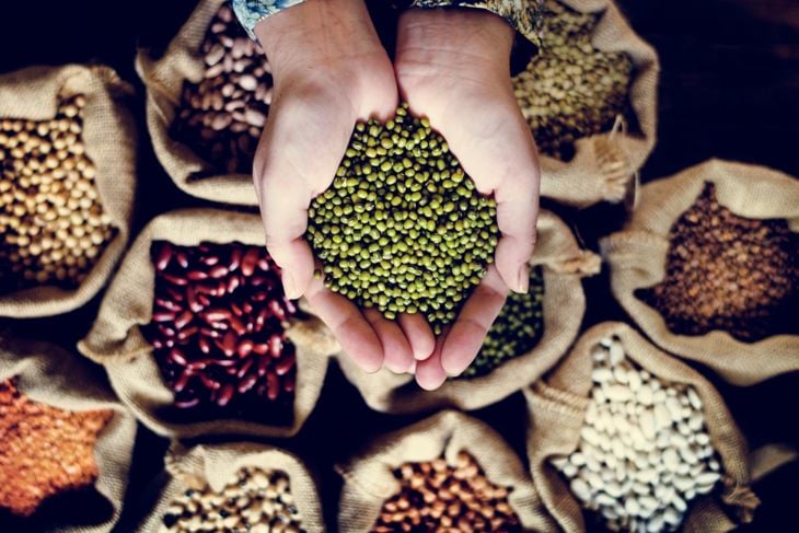 A person holds a handful of green mung beans over a display of burlap sacks filled with various legumes, including kidney beans, lentils, and white beans, arranged in a grid-like pattern.