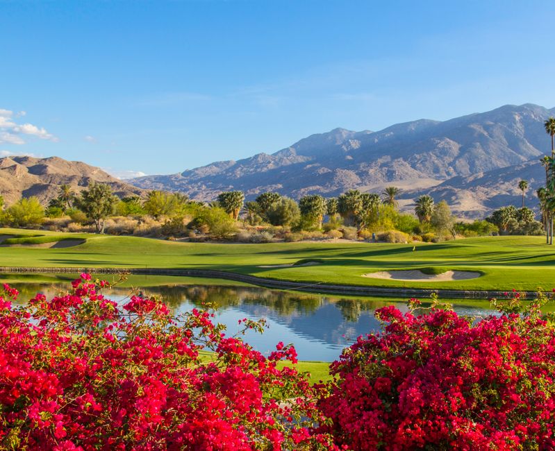 Golf course in Palm Springs, California (P)