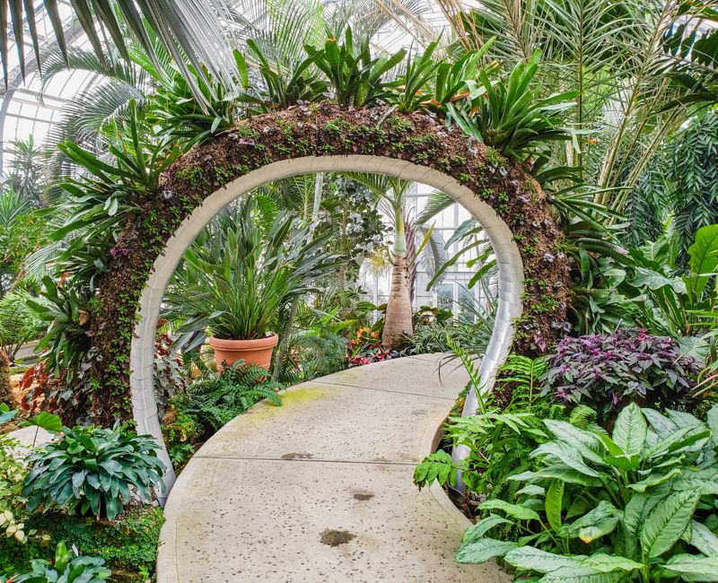 Arch designed to look like a serpent arching over the walkway.