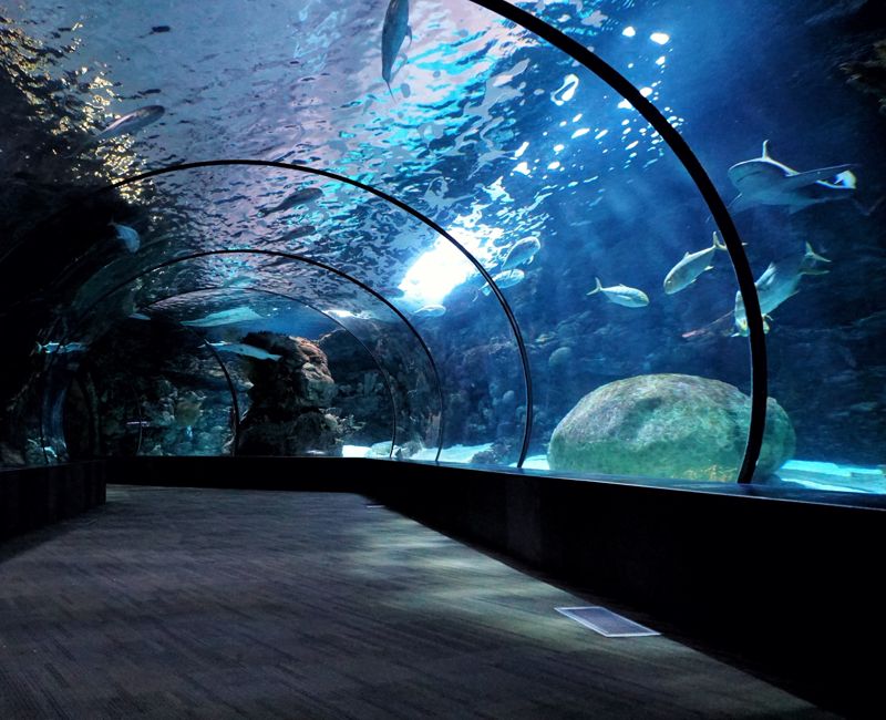 Omaha's Henry Doorly Zoo and Aquarium, Omaha, United States
