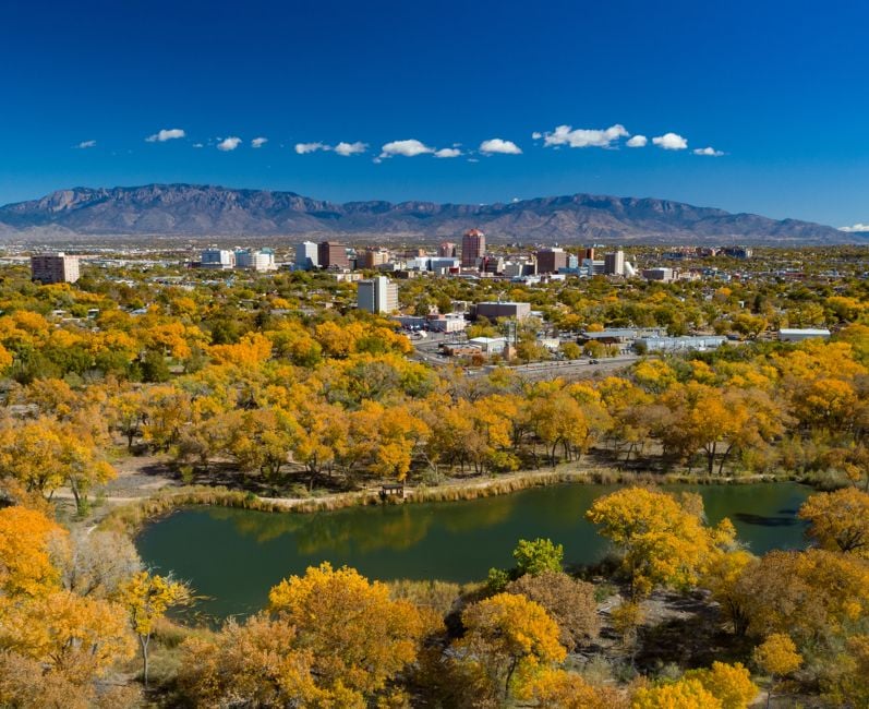 Albuquerque Skyline During Autumn With Trees And Lake