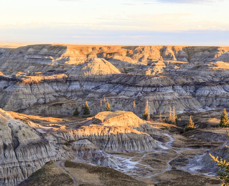 Near sunrise over the Drumheller badlands at the Dinosaur Provincial Park in Alberta, where rich deposits of fossils and dinosaur bones have been found. The park is now an UNESCO World Heritage