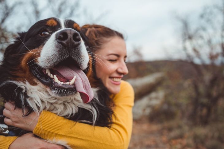 How to get rid of fleas