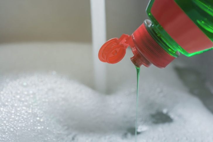 Dish soap trap to get rid of fleas