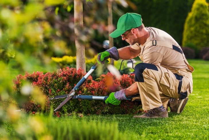 yard maintenance
