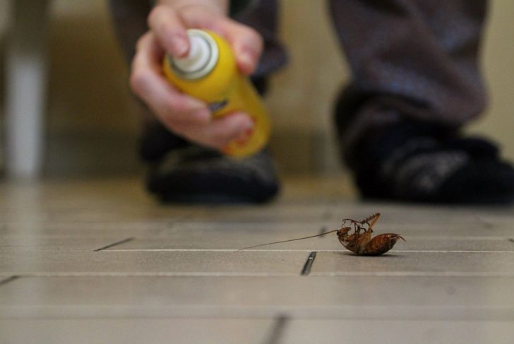 Spray insecticides with caution