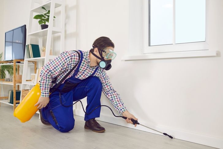 exterminator