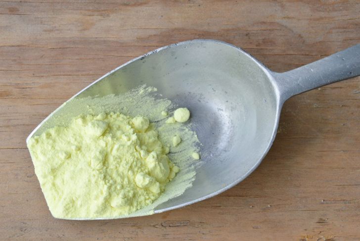 Powdered sulfur snake repellent sits in a metal scoop resting atop a table.